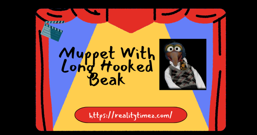 Muppet With Long Hooked Beak The Iconic & Beloved Legend