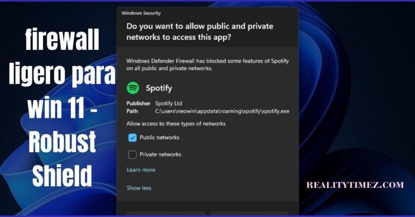 firewall ligero para win 11 – Robust Shield